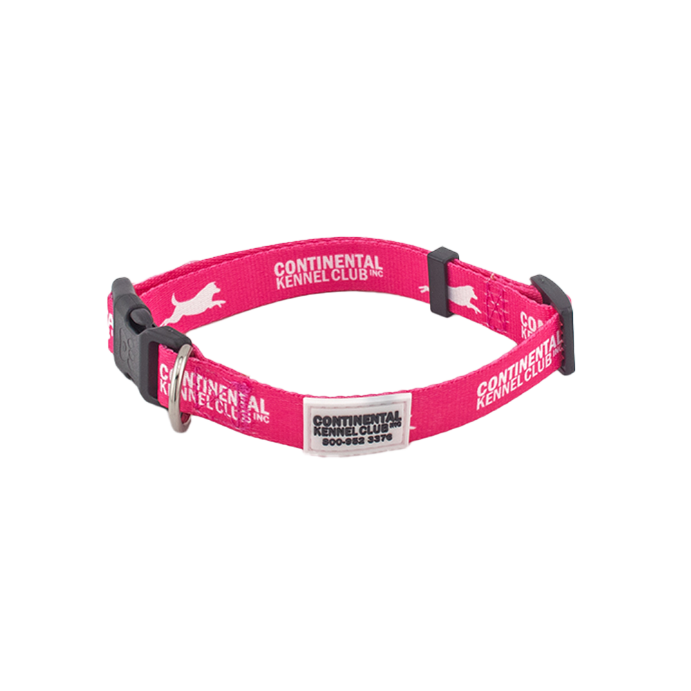 Ckc Collar Pink