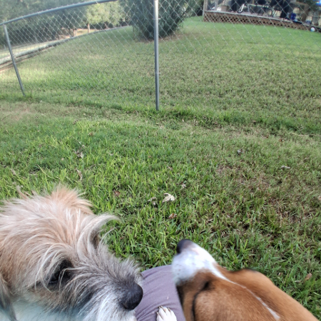 both outside.jpg