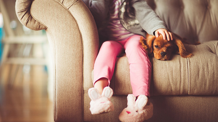 puppy-development-and-behavior-healthy-stress.jpg