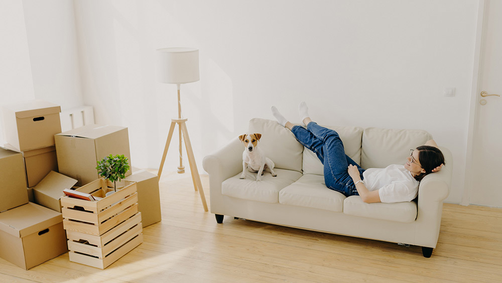 how-to-help-your-dog-embrace-a-new-home.jpg