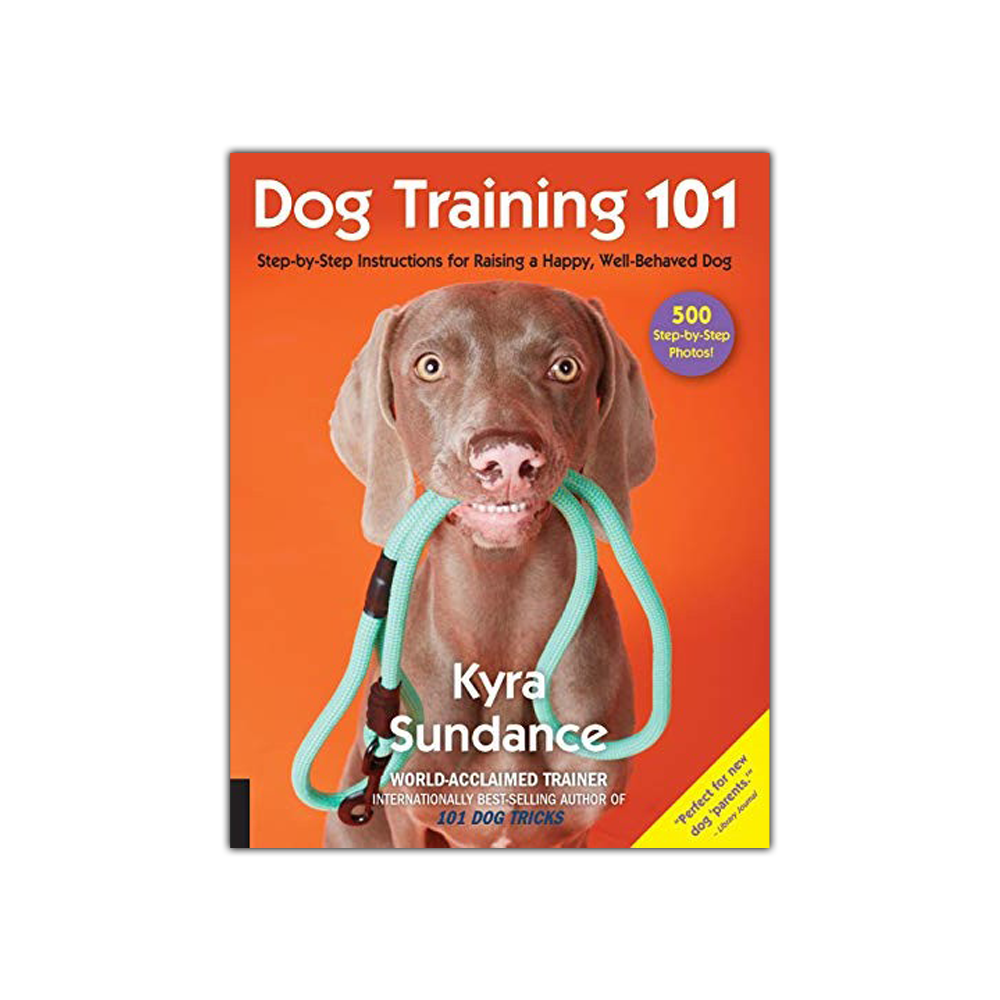 Dog Training 101