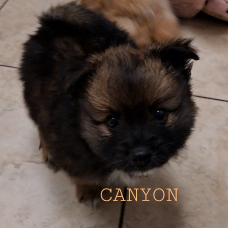 Canyon 1.jpg
