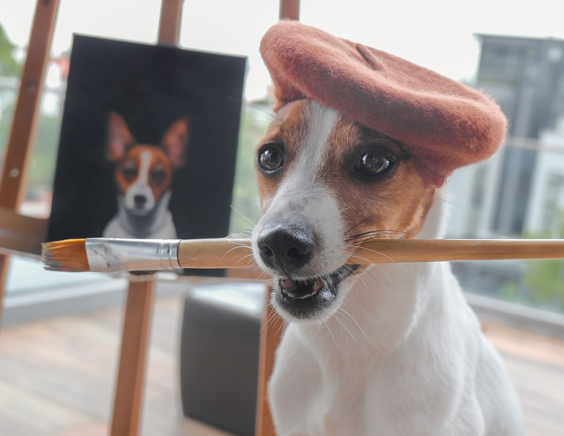 Close Up Dog