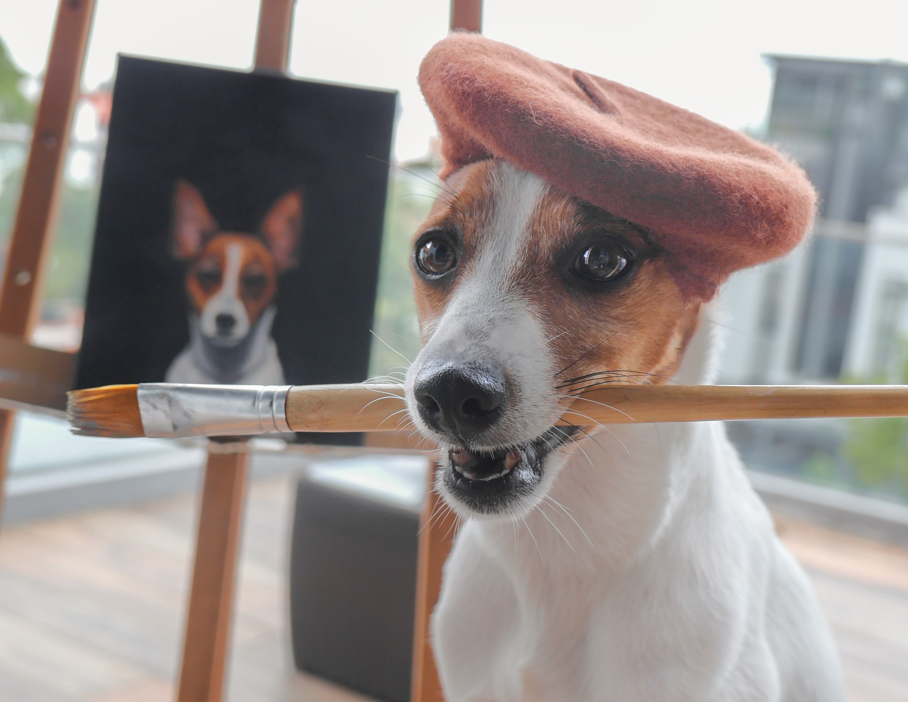 Close Up Dog
