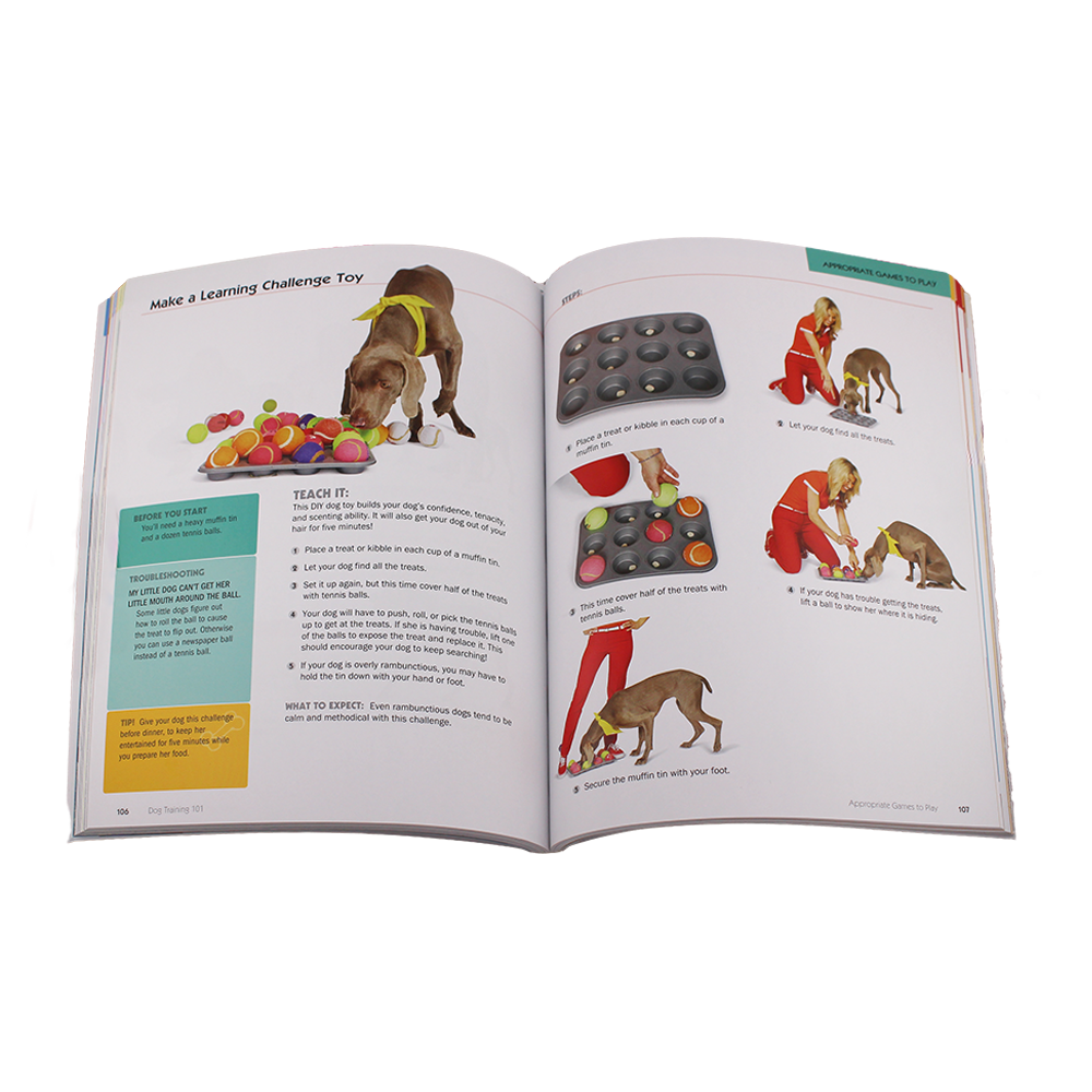 Dogtraining101 Content4