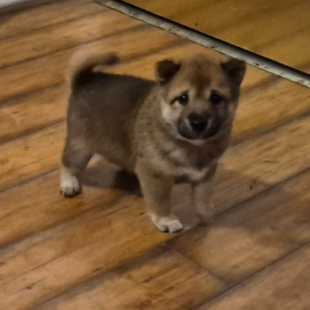 20260403_145922.jpg