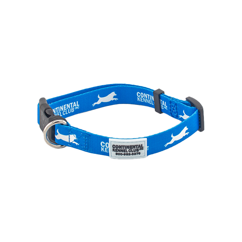 Ckc Collar Blue
