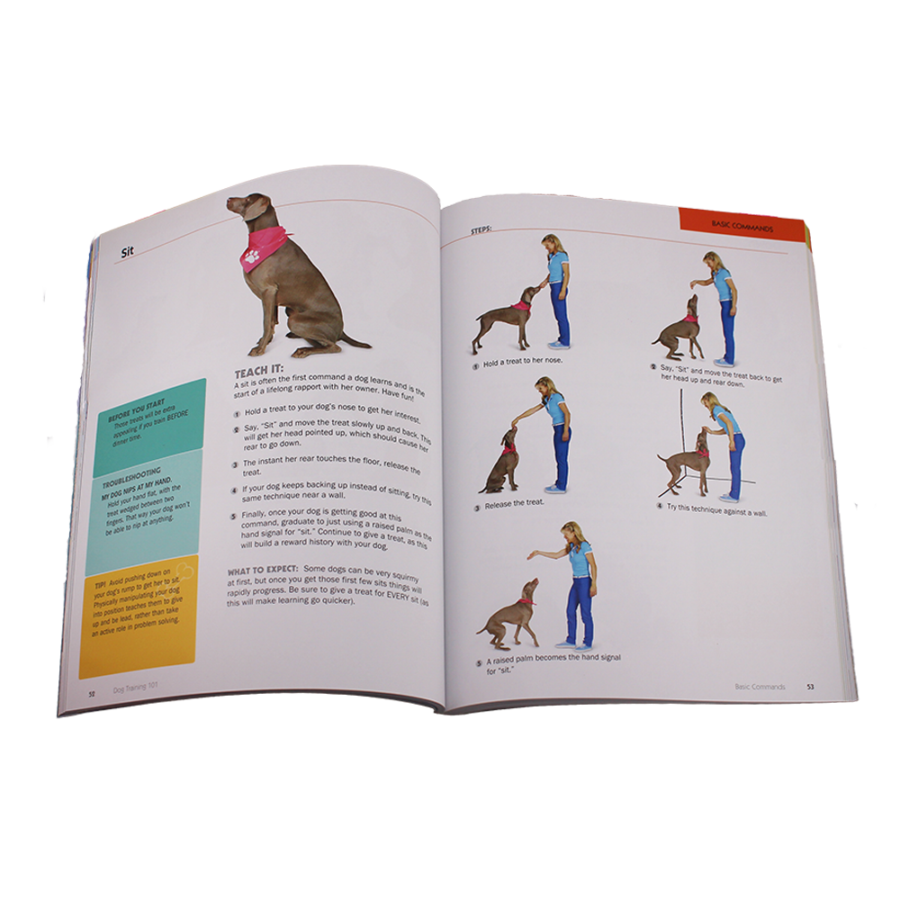Dogtraining101 Content3
