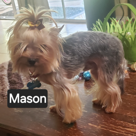 Resized_20210428_122617.jpeg