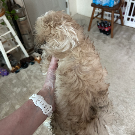 IMG_4904.jpeg