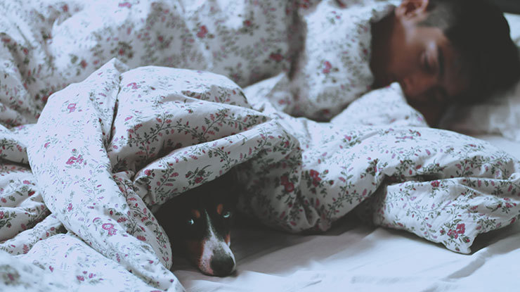 sleeph.jpg