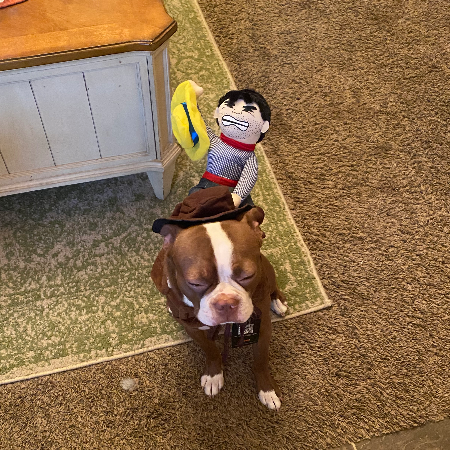 IMG_2195.jpeg